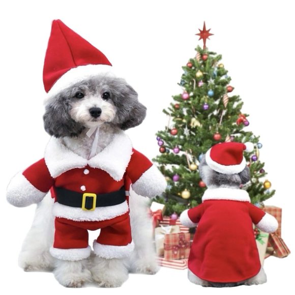 Pet Christmas Bundle Santa Claus Costume with Cap Hair Glove Bad To The Bone T - Picture 5 of 5